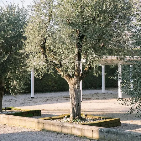 Red Carpet Apartamento *